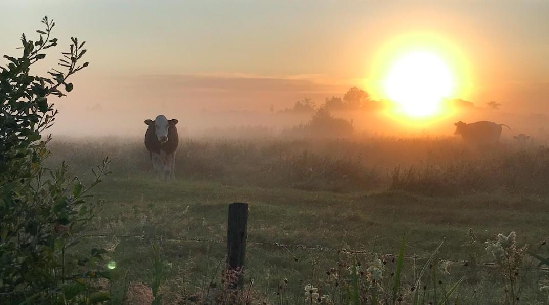Zomerdijk-Inn Noord Wanneperveen Esterno foto
